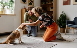 pet-friendly painting