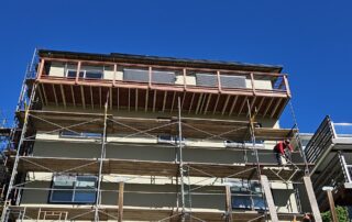 mold - commercial painting